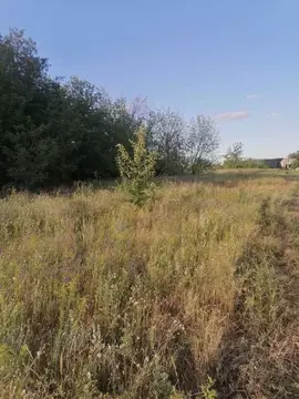 Участок в Ростовская область, Белокалитвинский район, пос. Коксовый ...