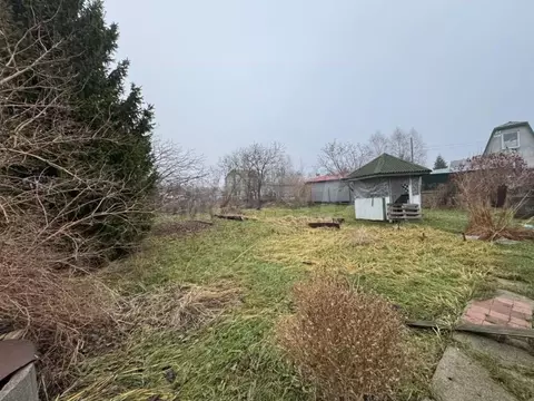 Участок в Калининградская область, Калининград Чайка СНТ, ул. ...