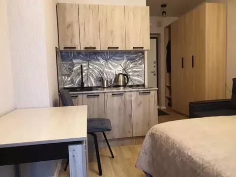 Студия Новосибирская область, Новосибирский район, Станционный ...