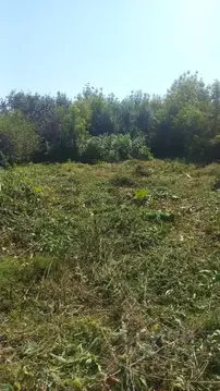 Участок в Татарстан, Лаишевский район, с. Сокуры Дачная ул. (6.0 сот.)