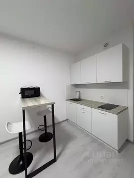 Студия Санкт-Петербург ул. Струве, 8к2 (25.0 м)