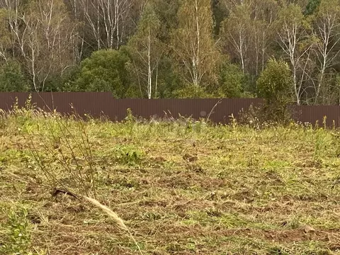 Участок в Калужская область, Боровский муниципальный округ, Кривское ...