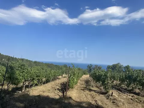 Участок в Крым, Алушта муниципальный округ, с. Малый Маяк  (8.0 сот.)