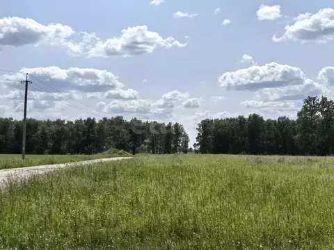 Участок в Новосибирская область, Новосибирский район, Морской ...