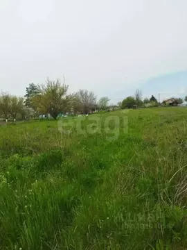 Участок в Ростовская область, Родионово-Несветайский район, ...