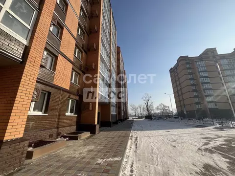 1-к кв. Амурская область, Благовещенск Высокая ул., 130 (36.8 м)