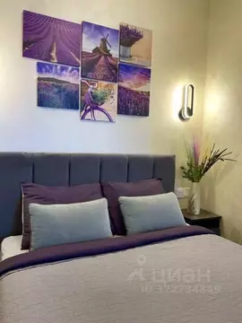 1-к кв. Краснодарский край, Новороссийск ул. Революции 1905 года, 37 ...