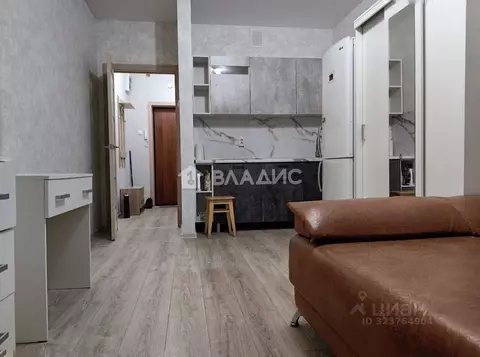 Студия Воронежская область, Воронеж ул. 9 Января, 233/40 (24.9 м)