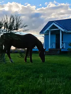 Дом в Владимирская область, Суздальский район, Селецкое муниципальное ...