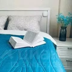 2-к кв. Самарская область, Самара ул. Фрунзе, 146 (46.0 м)