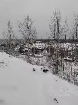 Участок в Коми, Ухта Геолог-69 СОТ,  (9.5 сот.)