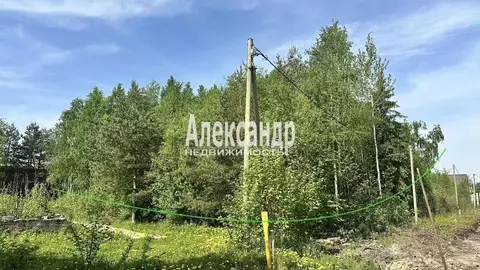 Участок в Ленинградская область, Тосненский район, Рябовское городское ...