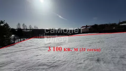 Участок в Московская область, Клин городской округ, д. Шарино 42 (31.0 ...