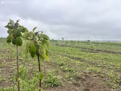 Участок в село Цибанобалка, Заречная улица (5.1 м)