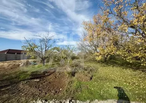 Участок в Крым, Симферопольский район, Перовское с/пос, Новозбурьевка ...