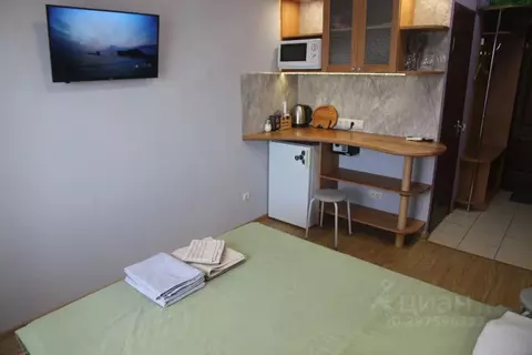 1-к кв. Севастополь ул. Челюскинцев, 49/3 (20.0 м)