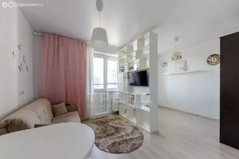 Квартира-студия: Санкт-Петербург, Парашютная улица, 42к2 (26.3 м)