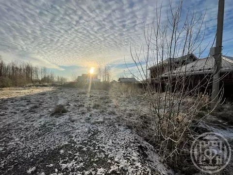 Участок в Санкт-Петербург, Санкт-Петербург, Петергоф ш. Ольгинское ...