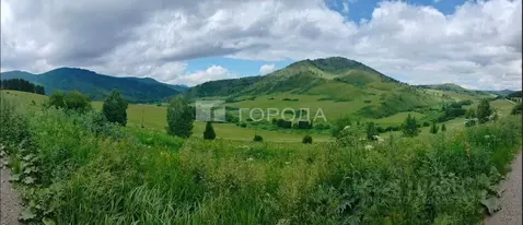 Участок в Алтайский край, Алтайский район, с. Тоурак Пролетарская ул., ...