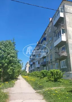 2-к кв. Пермский край, Лысьва ул. Невского, 4 (45.3 м)