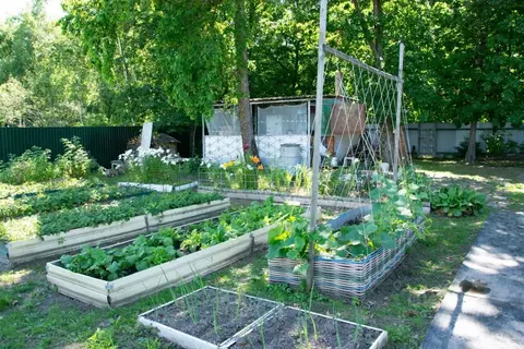 Участок в Хабаровский край, Хабаровский район, Юбиляр СНТ  (6.0 сот.)