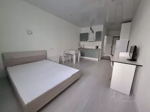 Студия Московская область, Старая Купавна Богородский городской округ, ...