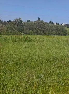 Участок в Московская область, Рузский муниципальный округ, д. Орешки  ...