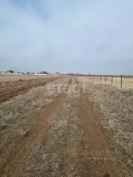 Участок в Волгоградская область, Дубовка ул. Имени Шолохова (6.7 сот.)