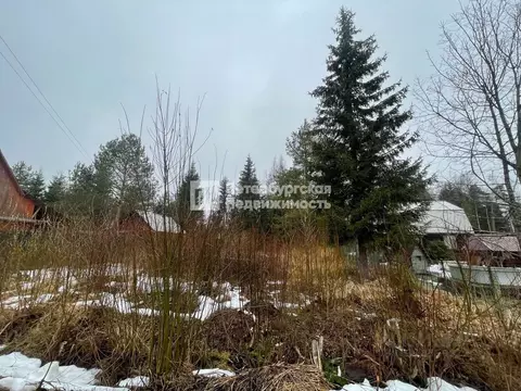 Участок в Ленинградская область, Выборгский район, Рощинское городское ...