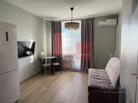 Студия Санкт-Петербург 26-я Васильевского острова линия, 7 (25.99 м)