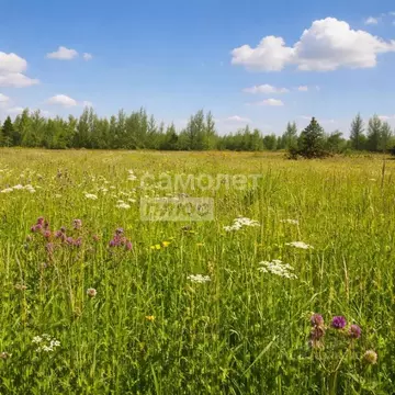 Участок в Курская область, Курский район, Нижнемедведицкий сельсовет, ...