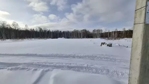 Участок в Свердловская область, Верхняя Пышма Черемушки-5 СНТ,  (10.0 ...