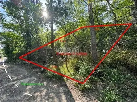 Участок в Крым, Ялта муниципальный округ, Симеиз пгт ш. Симеизское ...