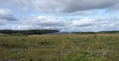 Участок в Нижегородская область, с. Безводное ул. Мирная (10.0 сот.)