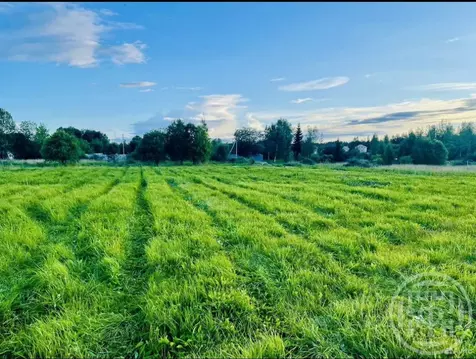 Участок в Ленинградская область, Лужский район, Заклинское с/пос, д. ...