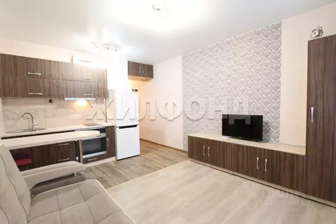 1-к кв. Новосибирская область, Новосибирск ул. Одоевского, 1/10 (23.7 ...