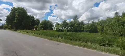 Участок в Владимирская область, Суздальский муниципальный округ, с. ...