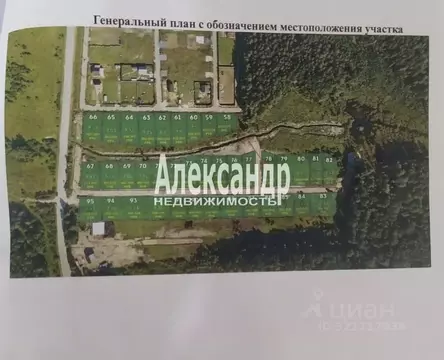 Участок в Ленинградская область, Ломоносовский район, Пениковское ...