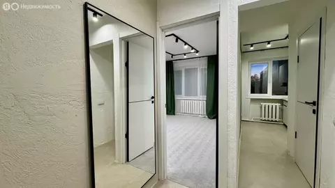 1-комнатная квартира: деревня Корпуса, Заречная улица, 65 (27.9 м)