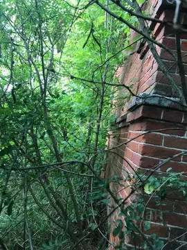 Дом в Нижегородская область, Шатковский муниципальный округ, с. Новое ...