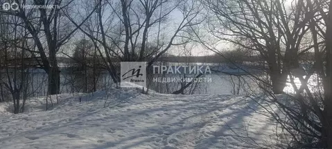 Участок в Московская область, Раменский муниципальный округ (10 м)