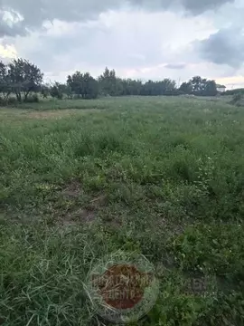 Участок в Белгородская область, Яковлевский муниципальный округ, с. ...