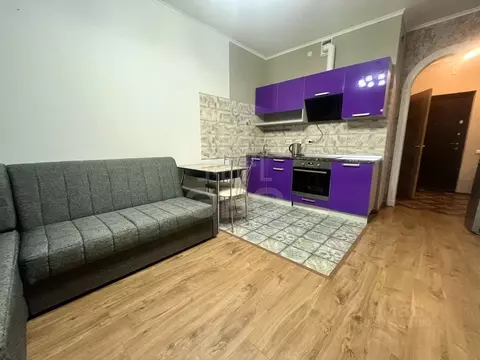 Студия Санкт-Петербург пос. Шушары, ул. Вишерская, 2 (25.4 м)