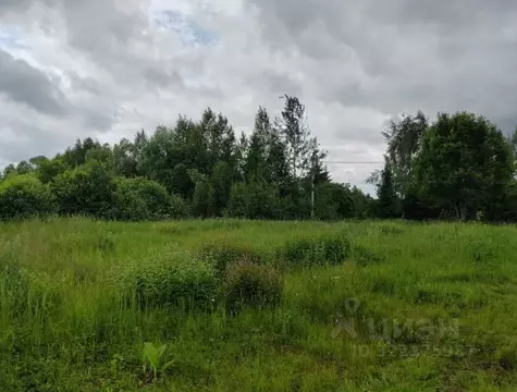 Участок в Московская область, Чехов муниципальный округ, д. Березенки  ...