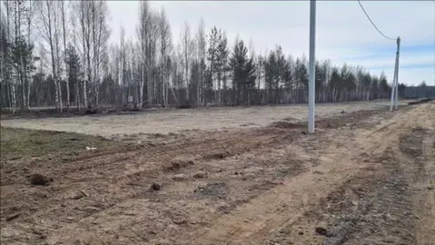 Участок в Ленинградская область, Всеволожское городское поселение, ...
