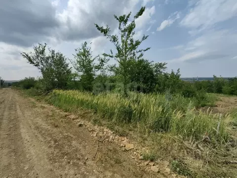 Участок в Ростовская область, Родионово-Несветайский район, ...