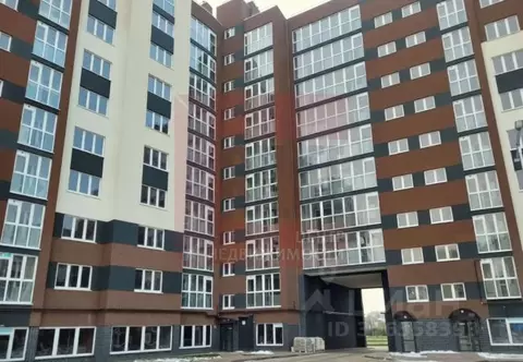 1-к кв. Калининградская область, Калининград Елизаветинская ул., 4к1 ...