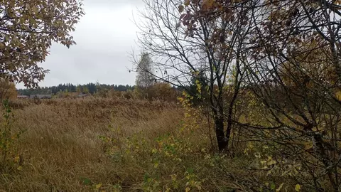 Участок в Московская область, Можайский муниципальный округ, д. ...