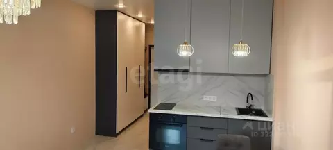 Студия Тюменская область, Тюменский муниципальный округ, д. Дударева ...