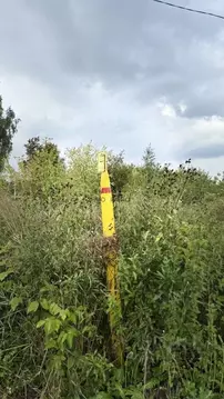 Участок в Кировская область, Киров городской округ, пос. Чистые Пруды ...